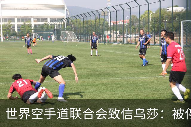 世界空手道联合会致信乌莎：被停职裁判为何随印度队出征