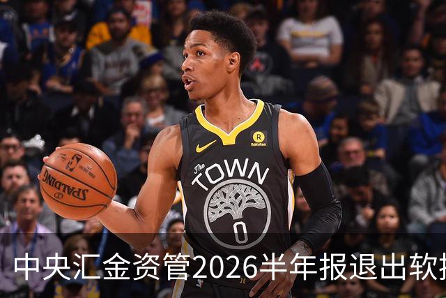 中央汇金资管2026半年报退出软控股份前十大股东名单