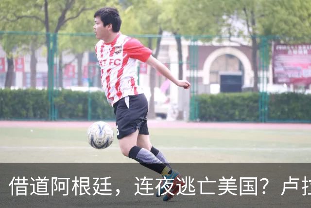 借道阿根廷，连夜逃亡美国？卢拉怒斥太无耻：博索纳罗一家都舔美