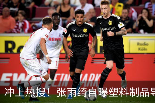 冲上热搜！张雨绮自曝塑料制品导致体检指标异常