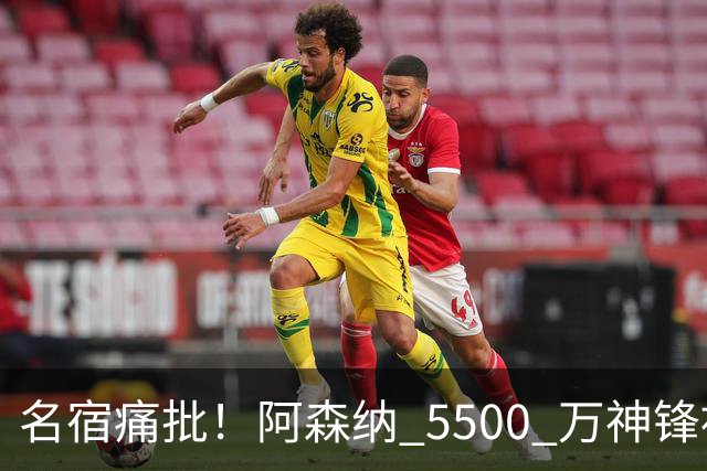 名宿痛批！阿森纳 5500 万神锋被彻底用废！阿尔特塔离谱毁人