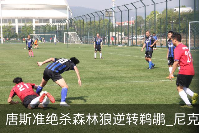 唐斯准绝杀森林狼逆转鹈鹕 尼克斯送黄蜂4连败