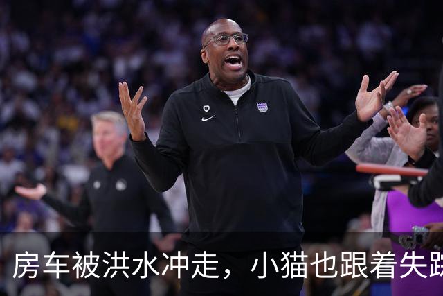 房车被洪水冲走，小猫也跟着失踪，8天后它突然回家了，全家人都哭了