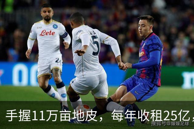 手握11万亩地皮，每年收租25亿，银行存700多亿，她才是我国隐形“地产女首富”
