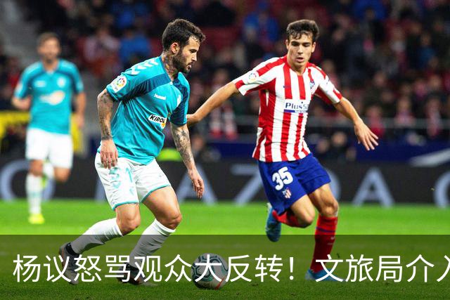 杨议怒骂观众大反转！文旅局介入，原因曝光，网友：就该狠狠地骂