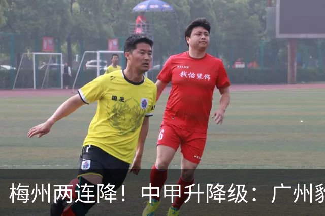 梅州两连降！中甲升降级：广州豹、南通支云冲超，梅州与佛山降级