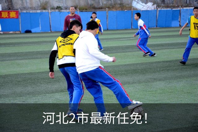 河北2市最新任免！