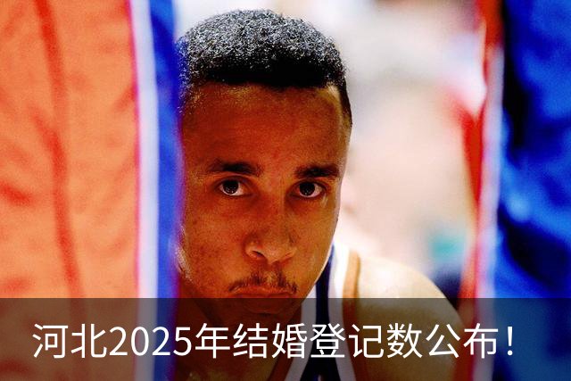 河北2025年结婚登记数公布！
