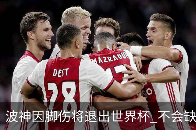 波神因脚伤将退出世界杯 不会缺席绿军训练营