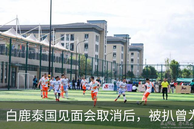 白鹿泰国见面会取消后，被扒曾为缅北拍宣传片，知情人爆更多内幕