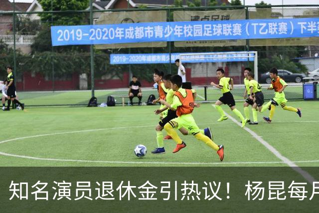 知名演员退休金引热议！杨昆每月到手仅2500，董勇还没办退休
