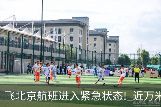 飞北京航班进入紧急状态! 近万米高空放油返航!
