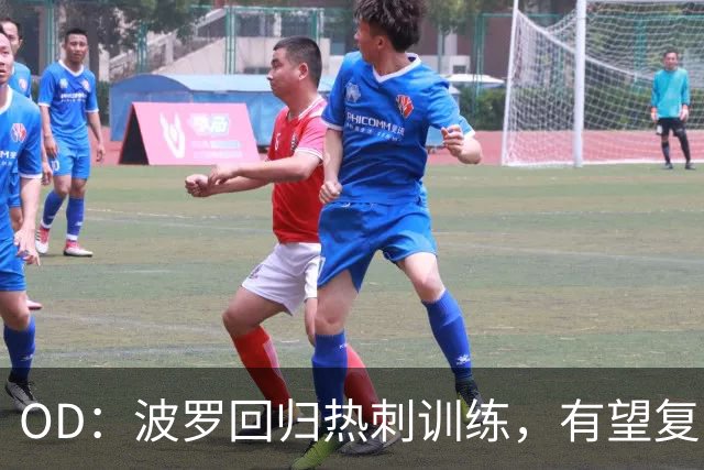 OD：波罗回归热刺训练，有望复出战切尔西